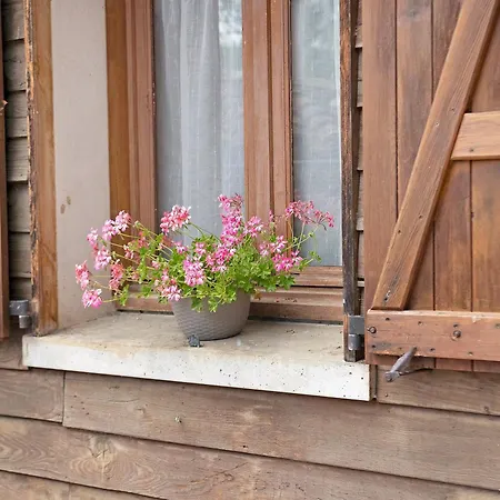 Au Pied De Puycelsi * Puycelci